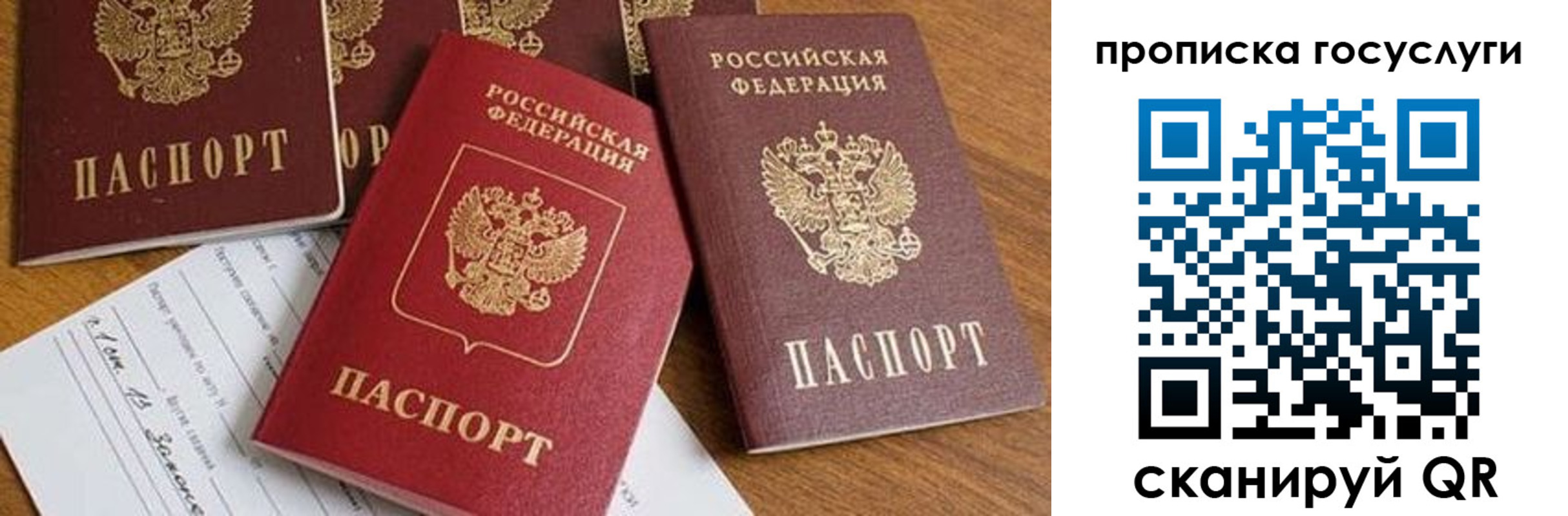 прописка ребенка в Хотьково